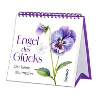 Engel Des GlüCks Der Kleine Mutmacher Taschenbuch 100 S. Deutsch 2026