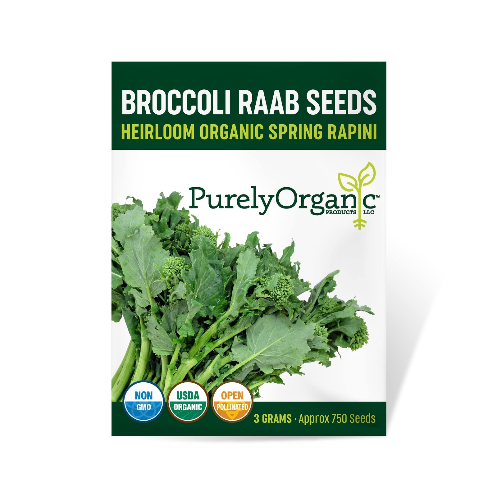 Organic Broccoli Raab Seeds (Spring Rapini) - Approx 750 Seeds - USDA Organic...