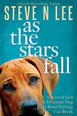 Steve N Lee | As The Stars Fall | Taschenbuch | Englisch (2020) | Blue Zoo