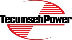 Carburatore per Tecumseh 10 HP per generatore Coleman