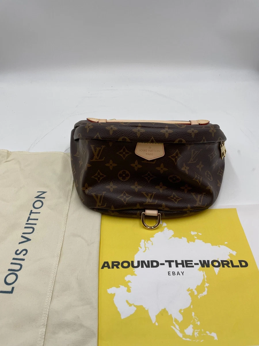 louis vuitton bumbag ~ 1 year review 