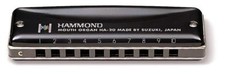 Suzuki Hammond HA-20 A Key Promaster 10-Hole Diatonic Harmonica w/ Tracking NEW