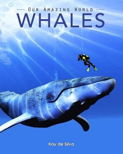 Whales: Amazing Pictures & Fun Facts on Animals in Nature by Kay De Silva: Used