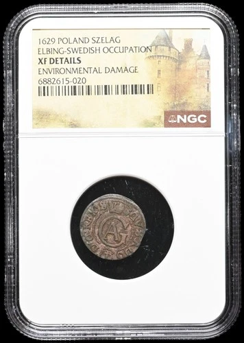 POLAND, Elbing. Gustavus Adolphus, 1629, Billon Solidus, NGC XF Details