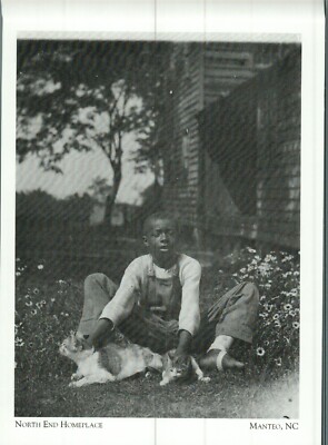 *NC Postcard-''Young Man Resting...North End Homeplace''- *Manteo, NC- {C14}-