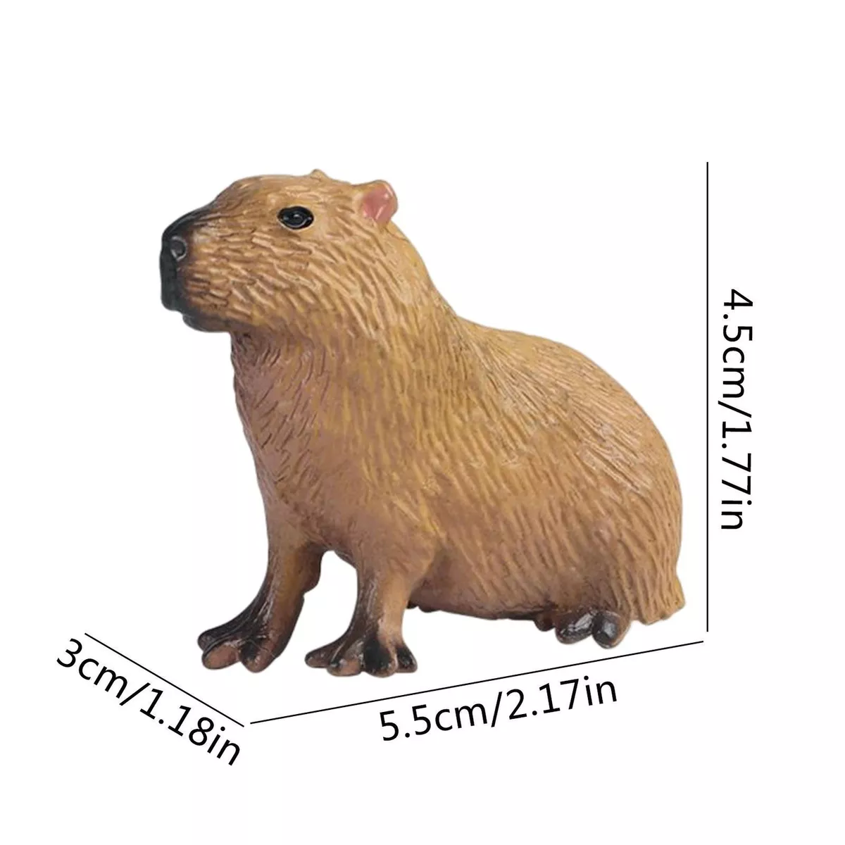 3D Capybara Models