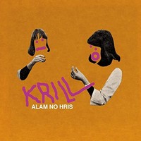 Alarm No Hris - Vinyl Record - F600Z