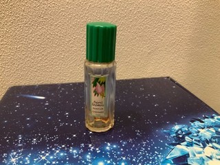 🕤 Très rare miniature ancienne April Showers de CHÉRAMY ‼️