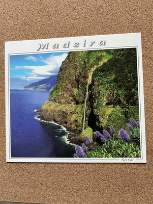 Ungebrauchte Postkarte, Madeira, Seixal, Top Zustand, Foto Roberto Mendes