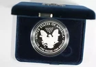 2013 W 1oz Silver Eagle  Proof - with Original Govt Packaging