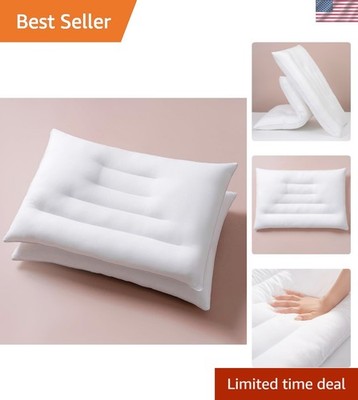 2 Pack Flat Queen Size Pillows - Ultra Low 2.5'' Height, Easy Care Design