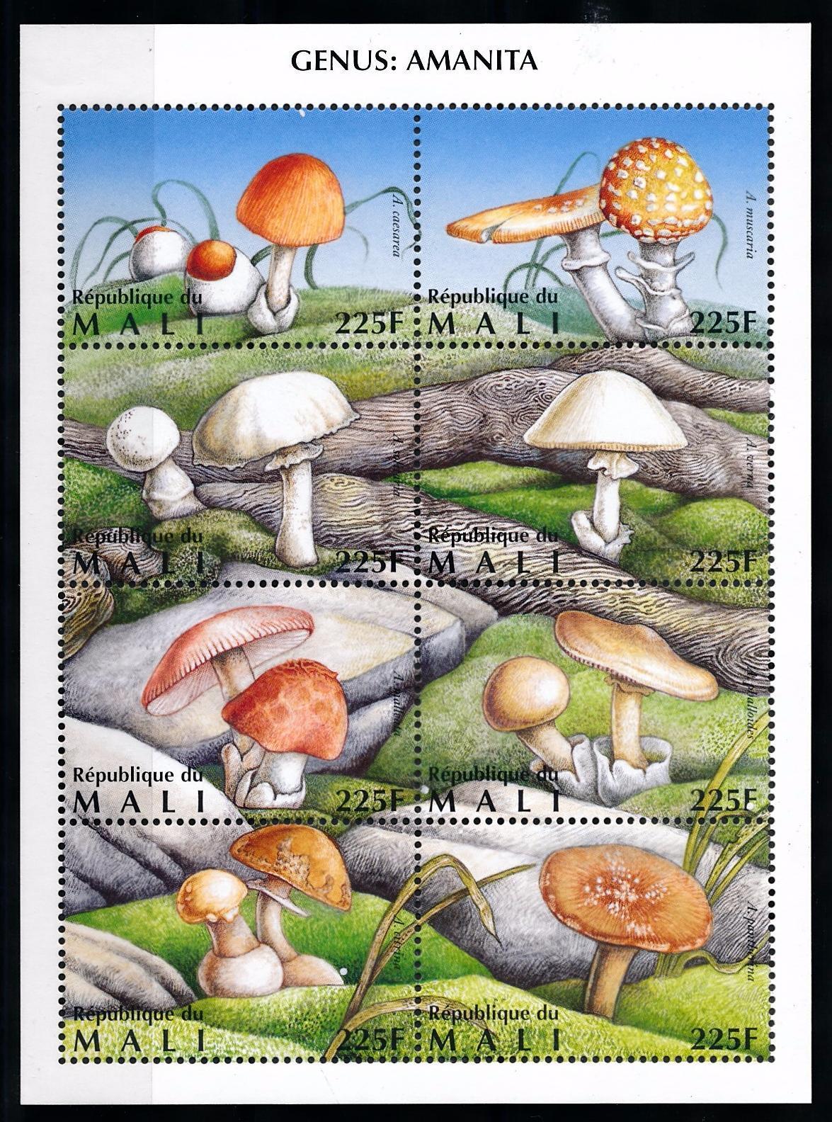 Foto 1 di 1