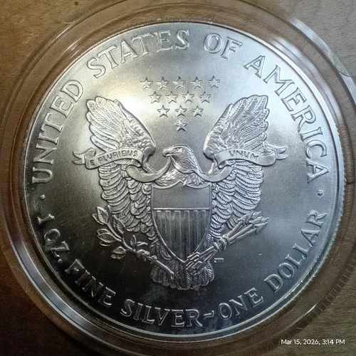 1 oz Fine Silver Coin USD American Silver Eagle Bullion  - NO RESERVE AUCTION
