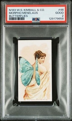 MORPHO MENELAUS 1888 N183 W.S. Kimball & Co. Butterflies #46 PSA 2 GOOD POP 1^4