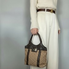 Bolso de Mano Dior Street Chic Marrón Trotter Lona