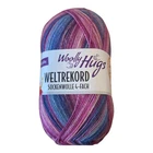 100g Woolly Hugs Sock Wool World Record