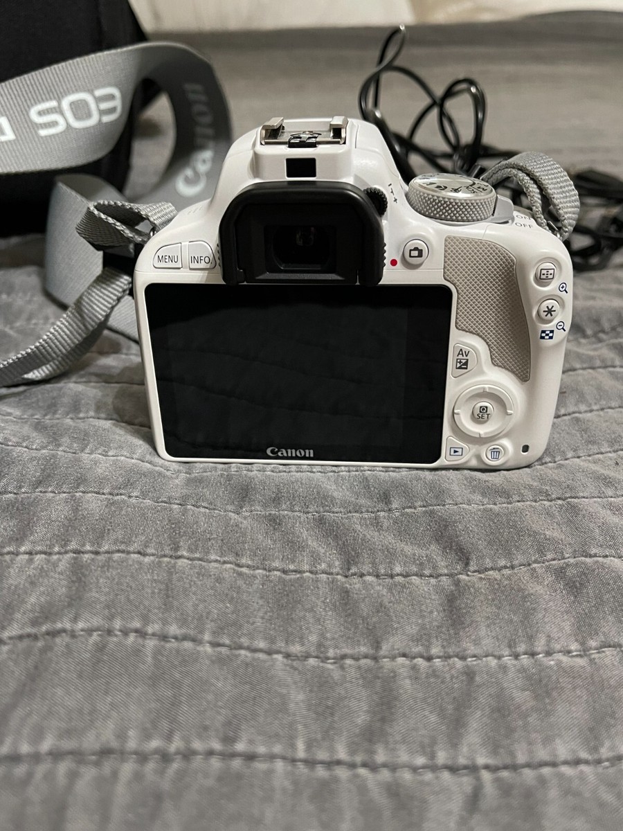 s-l1200.jpg