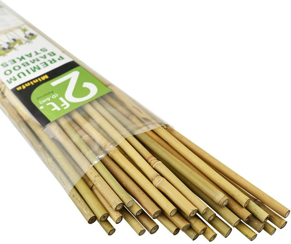 Mininfa Natural Bamboo Stakes 2 Feet, EcoFriendly Garden Stakes, eBay