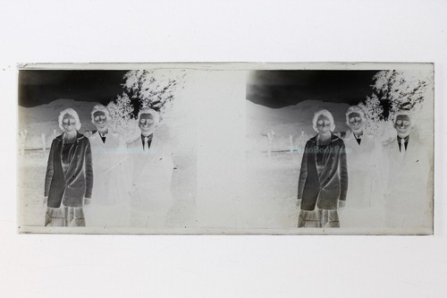 Famille France Photo Amateur NEGATIF PL51L31n9 Plaque de verre Vintage