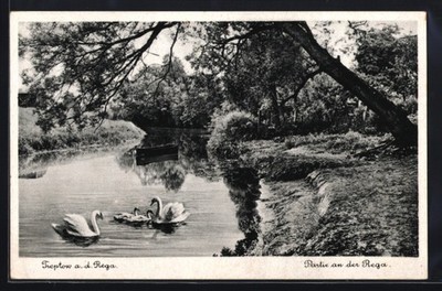 Postcard Treptow/Rega, lot at Rega 1941 