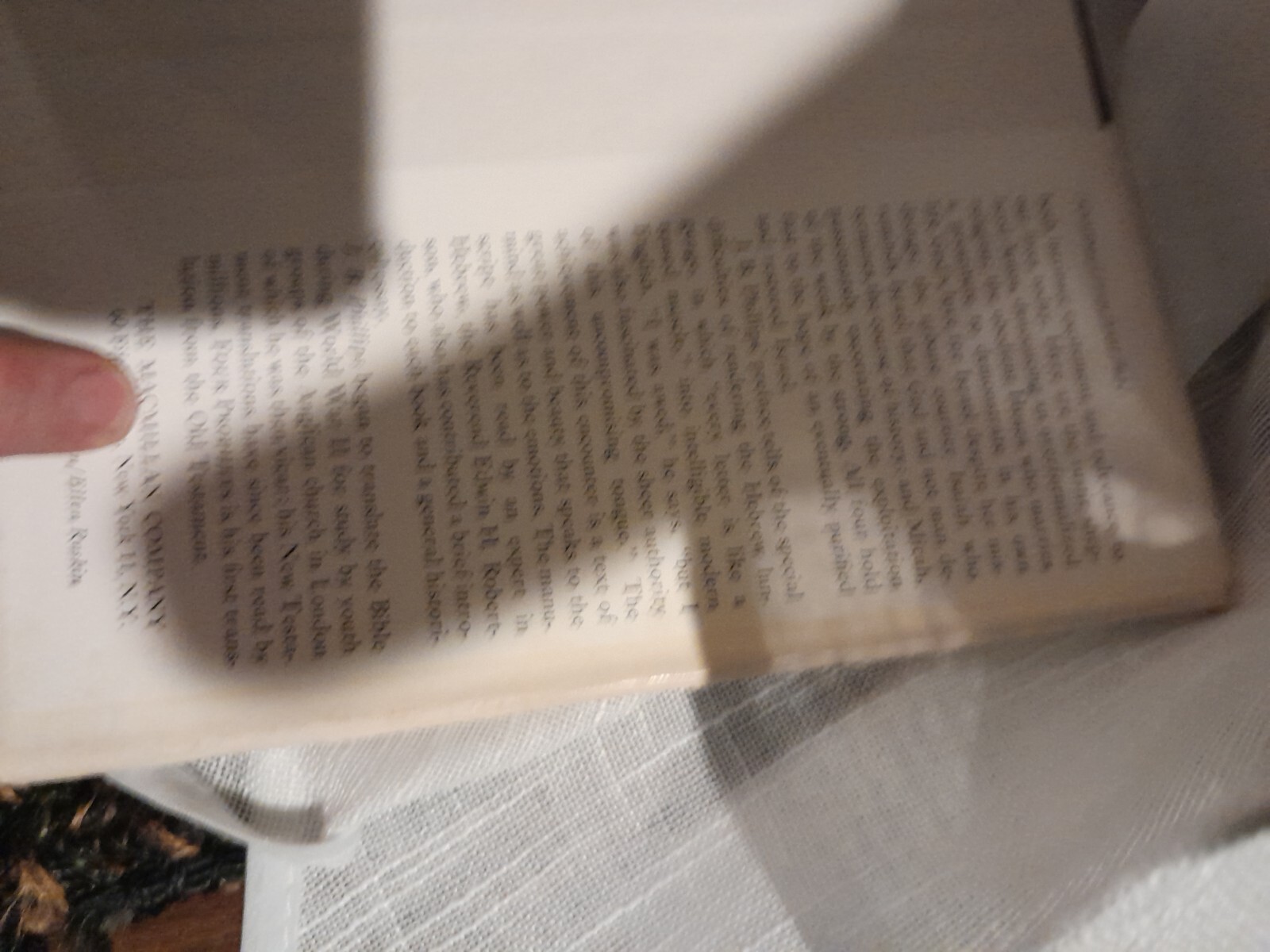 Picture 9 of 10