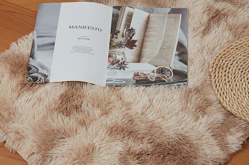 Area Rug Shag Fluffy Rugs Large Carpets Floor Mat for Living Room, Bedroom - Picture 7 of 18