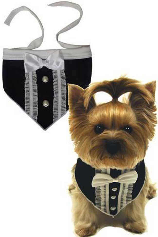 hunde frack sakko schwarz hochzeit mit hund festlich hunde anzug hundemode ebay