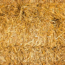 Sun Up to Sun Down Western Hay Cotton Quilt Fabric Hoffman U5135-47