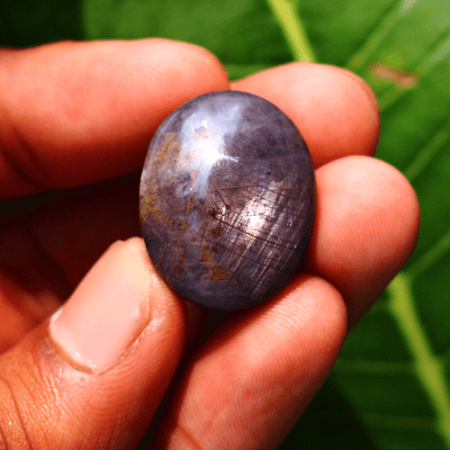 64.87 Cts Natural Star Ruby Top Grade 25mmx19.7mm Oval Cabochon Loose Gemstone - Picture 3 of 16