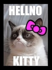 Grumpy Cat HELLNO Kitty MAGNET