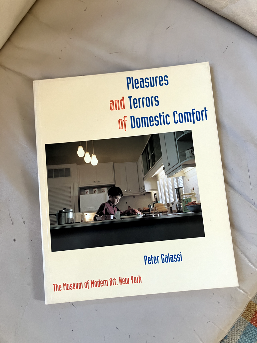 Pleasures and Terrors of Domestic Comfort by Peter Galassi (1991