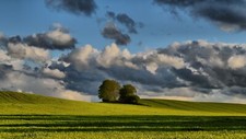 Landscape trees denmark summer clouds Custom Gaming Mat Desk