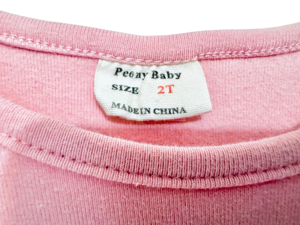 Jumping Beans Buffalo Plaid & Peony Baby Pink Girls Size 2T Long Sleeve Dresses - Image 3 of 4