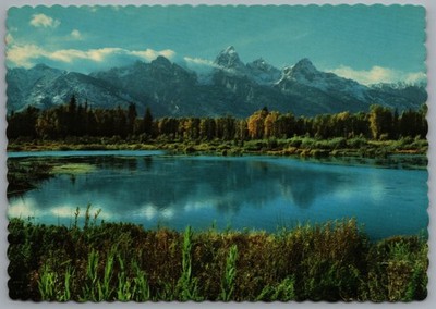 Grand Teton National Park WY Black Tail Pond Mountain View c1968 Postcard 4x6