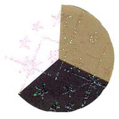 Embossing Pulver - Hologramm transparent - 10g - 65017 - Embossingpulver Powder