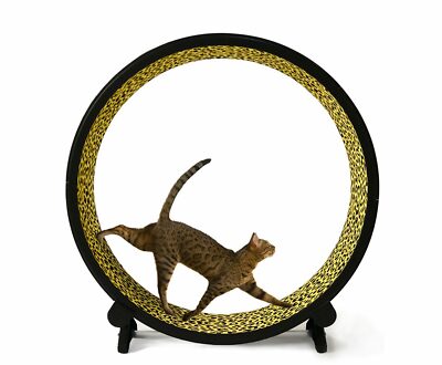 キャットホイール交換部品one fast cat Base Replacement Kit | One Fast Cat