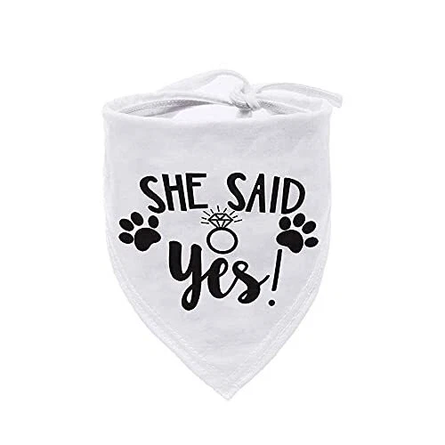 She said outlet yes dog bandana
