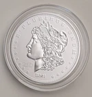 SUNSHINE MINT 1 OUNCE SILVER AMERICA 250 TRIBUTE MORGAN DOLLAR ROUND PRIVY COIN