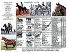 Pedigree quadro corse di cavalli NORTHERN DANCER RonTurcotte 11 per 8,5 cornice pronta