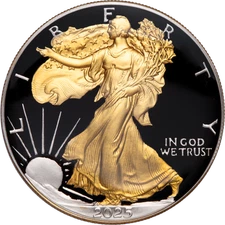 2025 American Silver Eagle - Golden Glory!