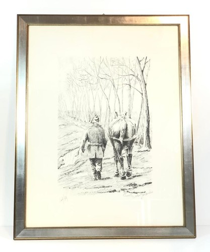Lithographie Anita De Harde / Deux Zèbre /Cadre Tableau - eBay
