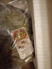 EXO Terra reptile hide, new unopened, medium, gecko cave, 12x16