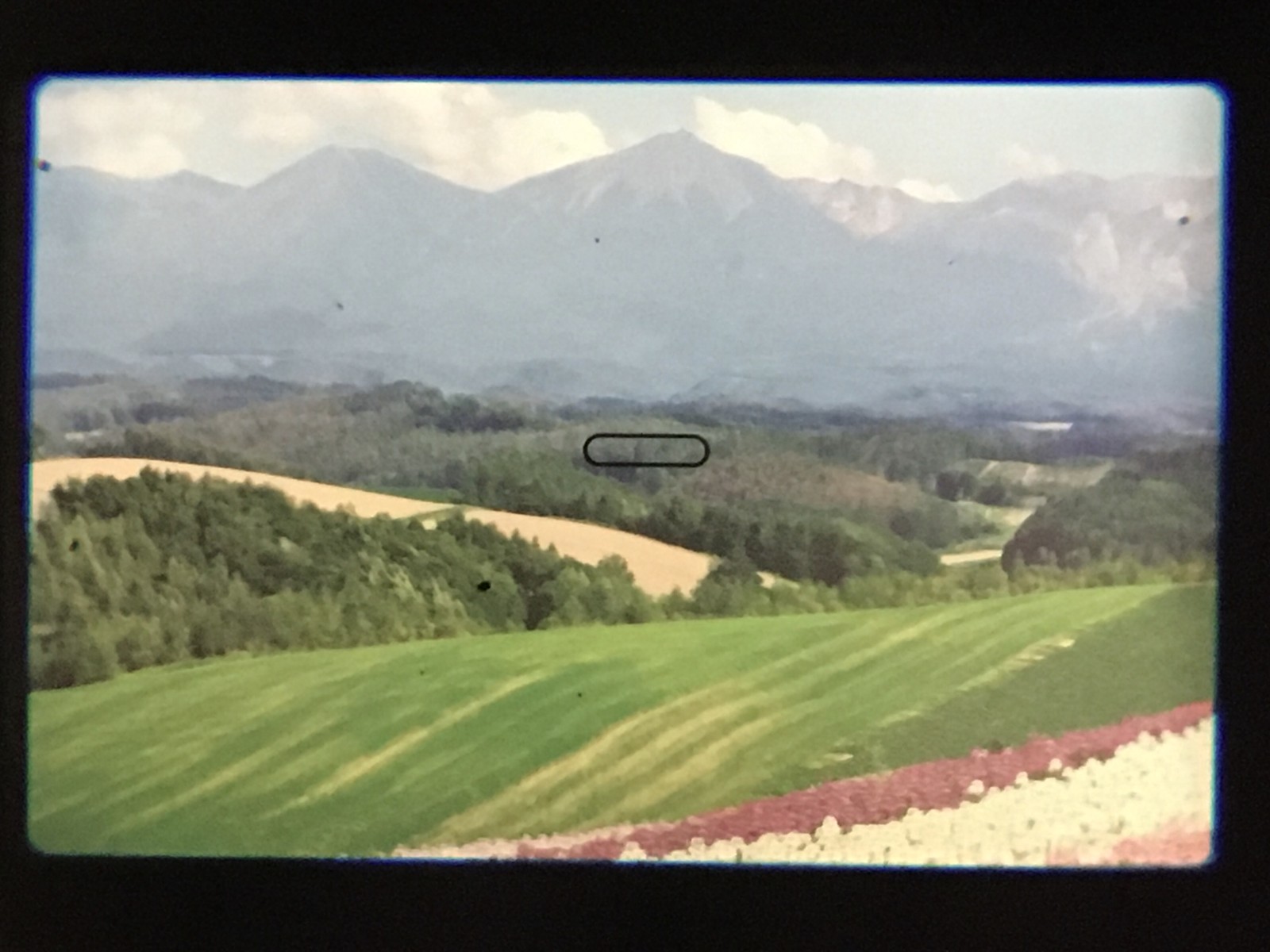 Picture 6 of 20