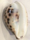 Foto 7 di 9