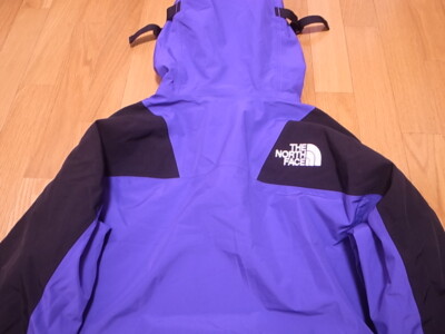THE NORTH FACE 1994 RETRO MOUNTAIN LIGHT FUTURELIGHT JACKET PEAK