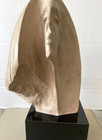 STARGAZER - 14" Female Bust by David Fisher from Austin Productions 1980 — photo 3