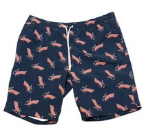 Bonobos Swim Trunks Men  s Medium Blue Flag Lined Drawstring Shorts