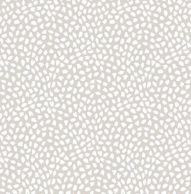 Foto 1 di 4
