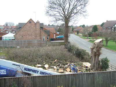 Photo 12x8 A bit of heavy pruning on Station Road David Humphrey and Son c c2009