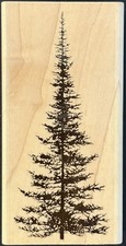 Stampscapes Pine Tree Large Rubber Stamp 196F